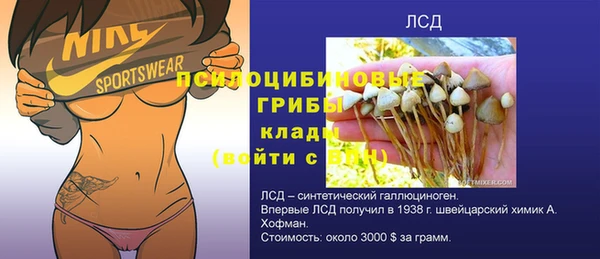 стафф Абаза