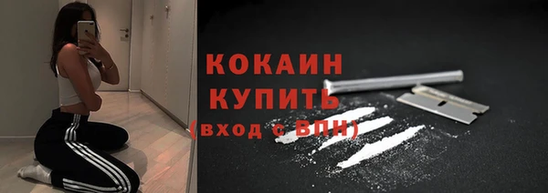 сатива Медногорск