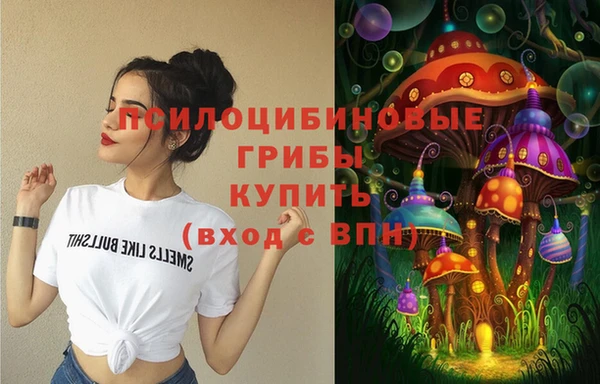 стафф Абаза