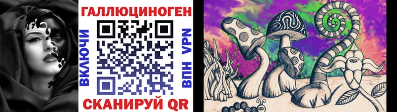 площадка формула  Таганрог  Галлюциногенные грибы мицелий 