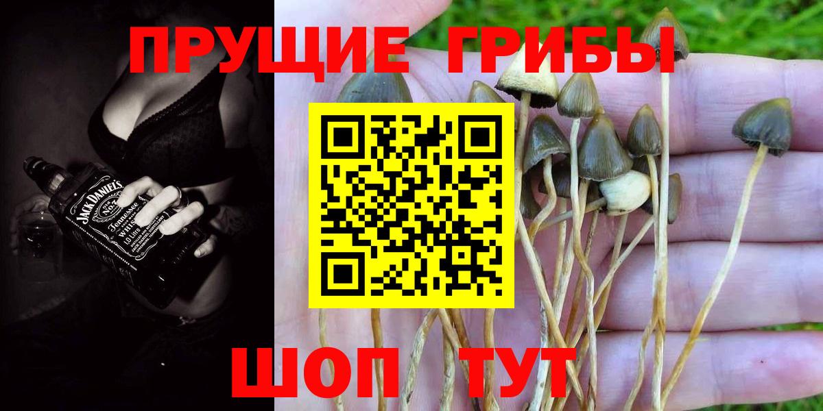 Галлюциногенные грибы прущие грибы Таганрог