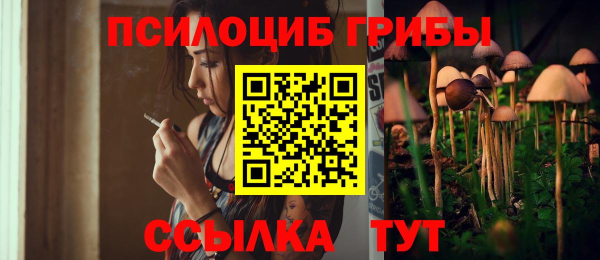 Галлюциногенные грибы MAGIC MUSHROOMS  купить   Таганрог  Вход с VPN 